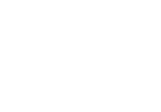 llc logo